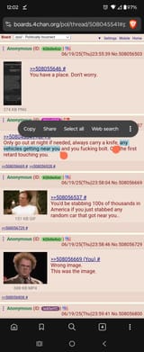 Screenshot_20250620-000216_Brave