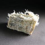 20201231lnp1-asbestos