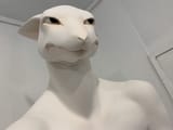 1738797727587468