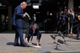 eurocucks kiss the feet