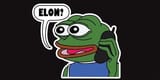 elon