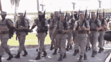 marines-marine-corps