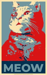 cat politcal