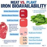 meat vs plants
