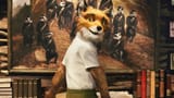 mrfox