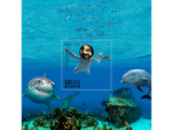 nirvana-nevermind-650x488-1212284369