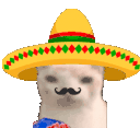MuchoGato