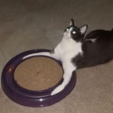 1605695532100