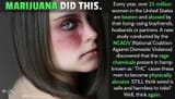 MarijuanadomesticViol