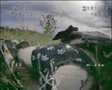 IMG_20250620_110511_435