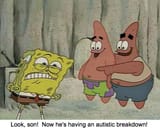 autistic breakdown