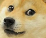 doge