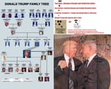 trump is a kike