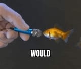 would