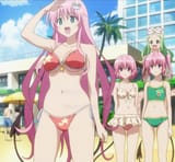 41187 - Genre-Anime Season-Motto_To_LOVE-Ru Series-To_Love_Ru