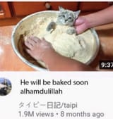 baked
