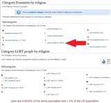 feminists by religion the jews are our misfortune