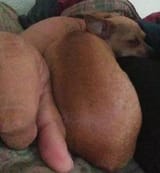 2343234123
