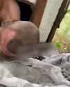How the Russians punish their 500s — deserters. 19-06-2025 HD CHUG_thumb.jpg