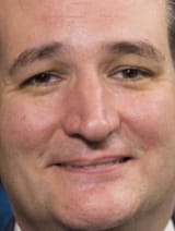 genteel physiognomy
