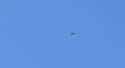 Reports say a video shows an Israeli Air Force F-16 taking out an Iranian Shahed-136 kamikaze drone over Syria. 20-06-2025 HD_thumb.jpg