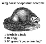 1588261552343