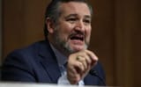 TedCruz