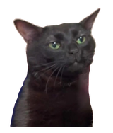1283702136853718