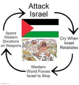 cry-about-the-result-of-attacking-israel-as-if-there-was-v0-djto4ui4eqlc1