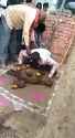 poo-dance-india_thumb.jpg