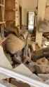 video_2025-06-20_11-19-00_1M_thumb.jpg