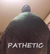 9999341456