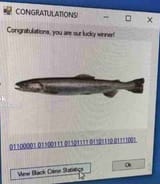 1745968881240493