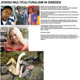 swedish_multiculturalism10 - Copy
