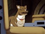 feel good doggo