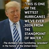 1750436191913518