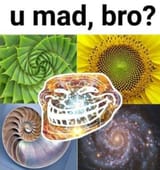 1636997653587