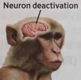 neurons deactivated