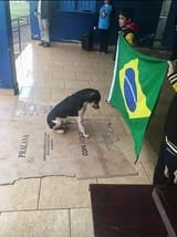 1670351224888311