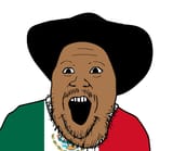 Mexisoy