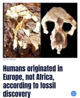 european origin of humans