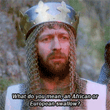 monty-python