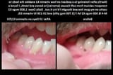 1740778458817029
