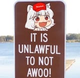 1722600040296907