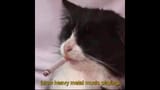 1742110997111