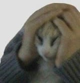 1668699673219505