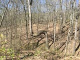 tall-bent