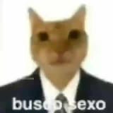 sexo