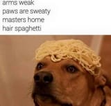 13925202_286057948433788_5909612176731071719_n