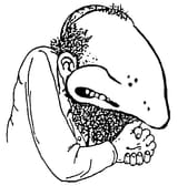 10572565